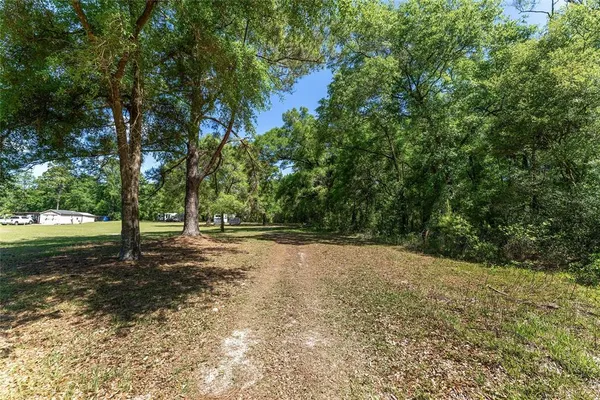 a view of a field with an trees in the background