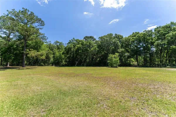a view of a field with an trees