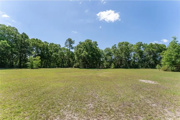 a view of a field with trees in the background