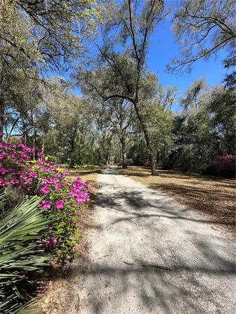 a view of backyard with flowers and trees