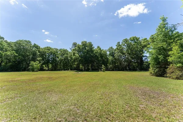 a view of a field with an trees in the background