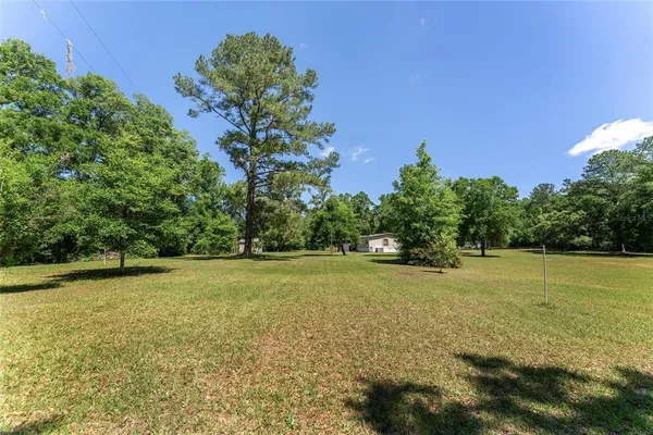 a view of a yard with a tree