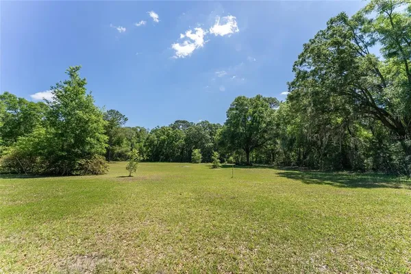 a view of a yard with a tree