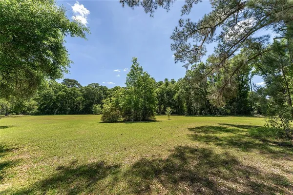 a view of outdoor space with trees all around