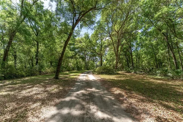 a view of a yard with trees