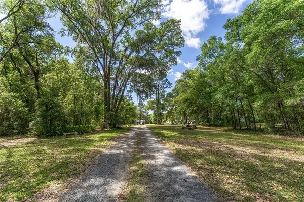 a view of backyard of green space