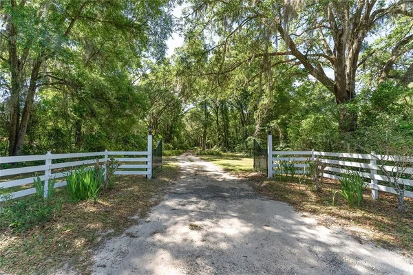 a view of backyard with large trees and wooden fence