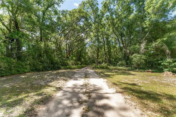 a view of a yard with a tree