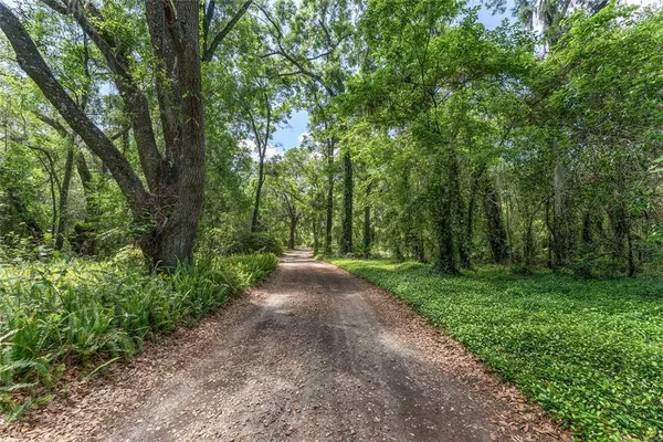 a view of a road with trees in the background