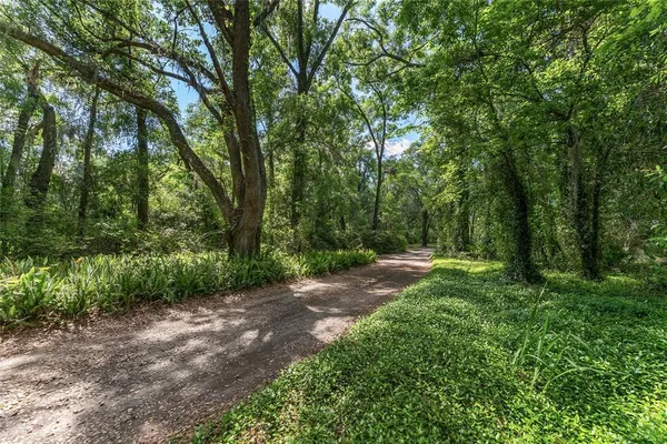 a view of a yard with large trees