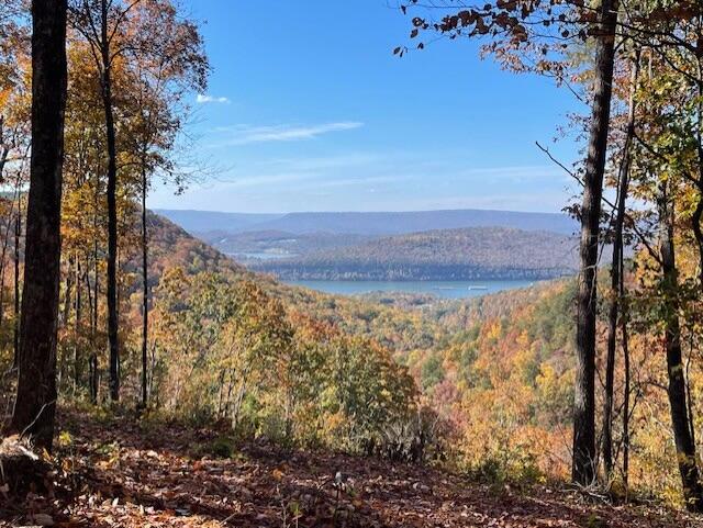 0 Birds Eye Way, Unit 1072 Guild, TN 37340 - Photo 11 of 15 TN Lot Photo 1