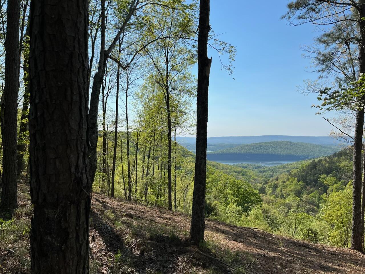 0 Birds Eye Way, Unit 1072 Guild, TN 37340 - Photo 3 of 15 IMG_4573