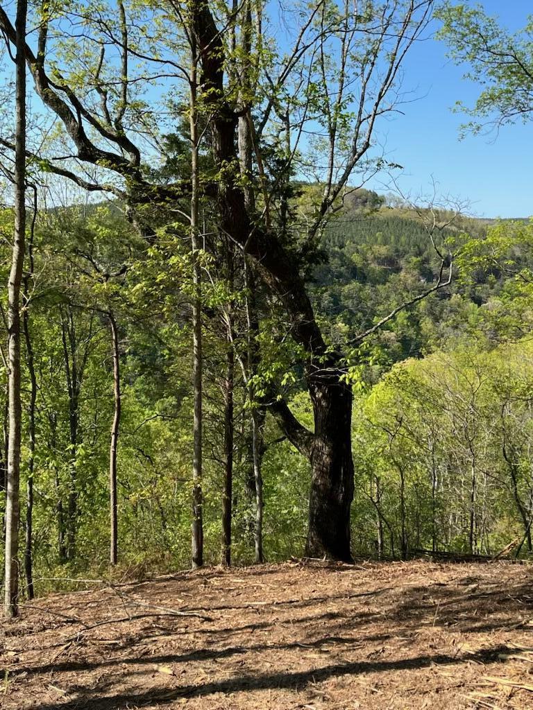 0 Birds Eye Way, Unit 1072 Guild, TN 37340 - Photo 5 of 15 IMG_4580