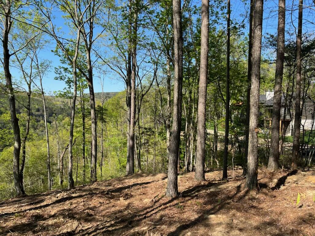 0 Birds Eye Way, Unit 1072 Guild, TN 37340 - Photo 6 of 15 IMG_4577