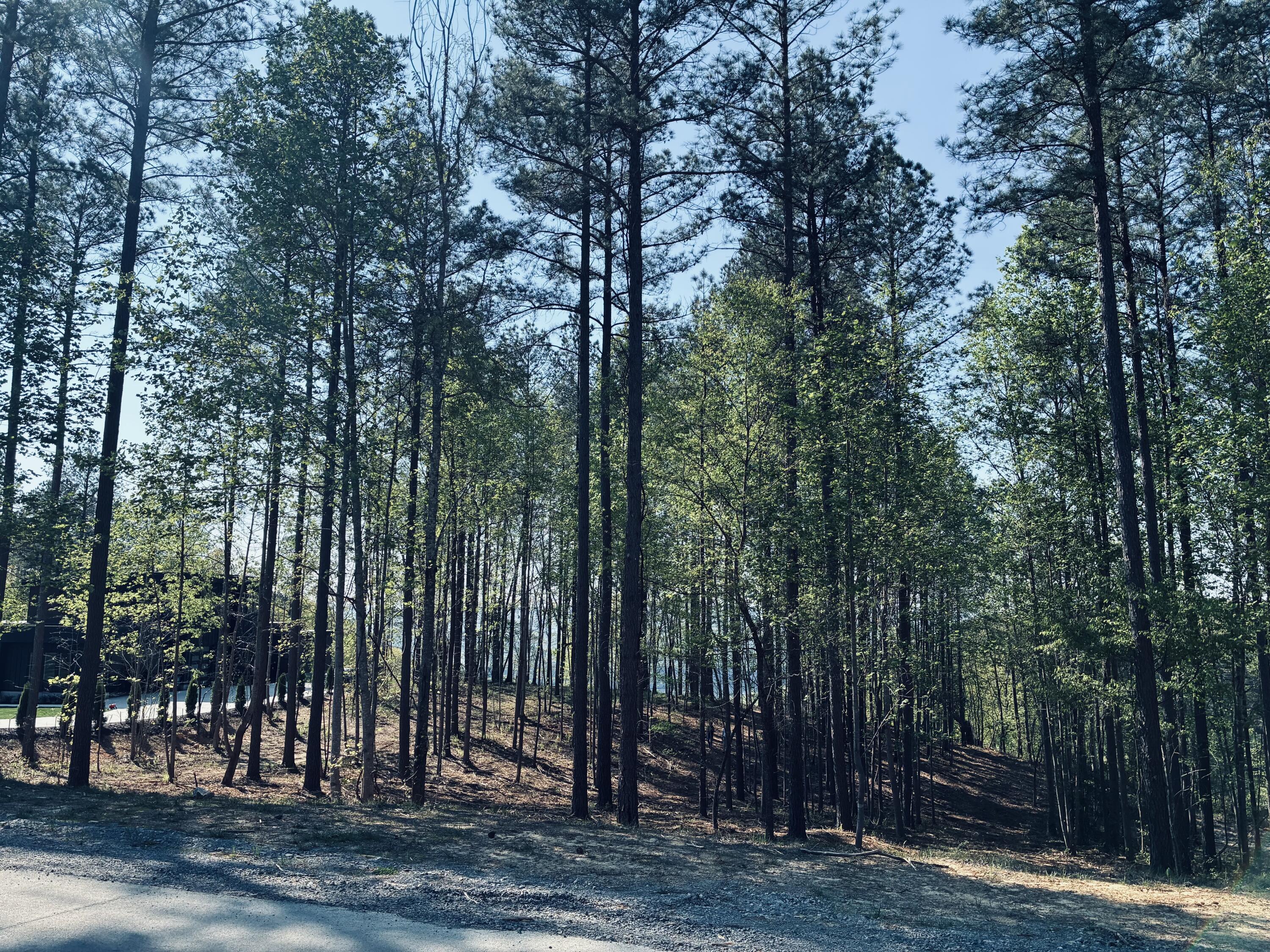 0 Birds Eye Way, Unit 1072 Guild, TN 37340 - Photo 8 of 15 IMG_5655