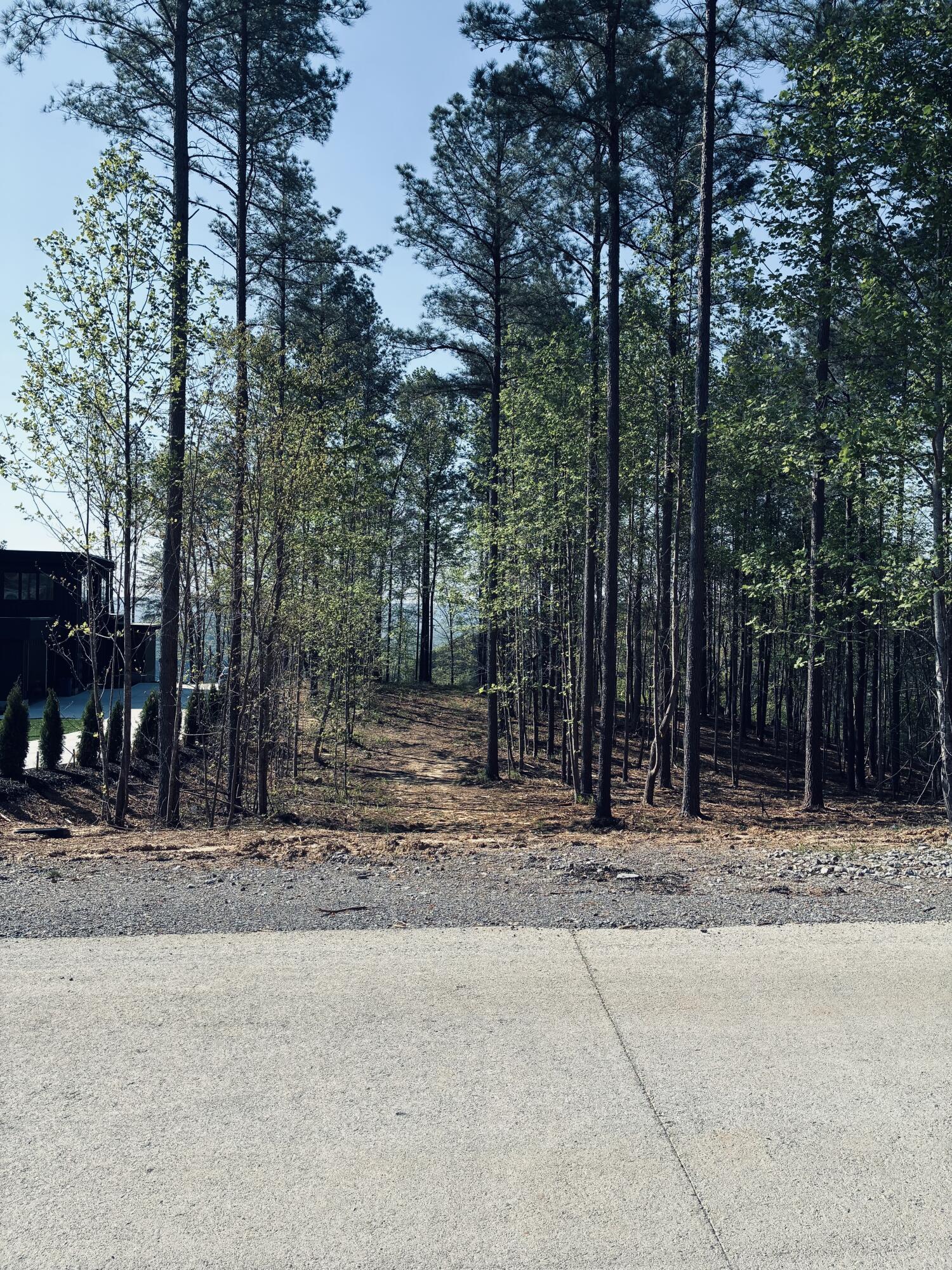 0 Birds Eye Way, Unit 1072 Guild, TN 37340 - Photo 9 of 15 IMG_5654