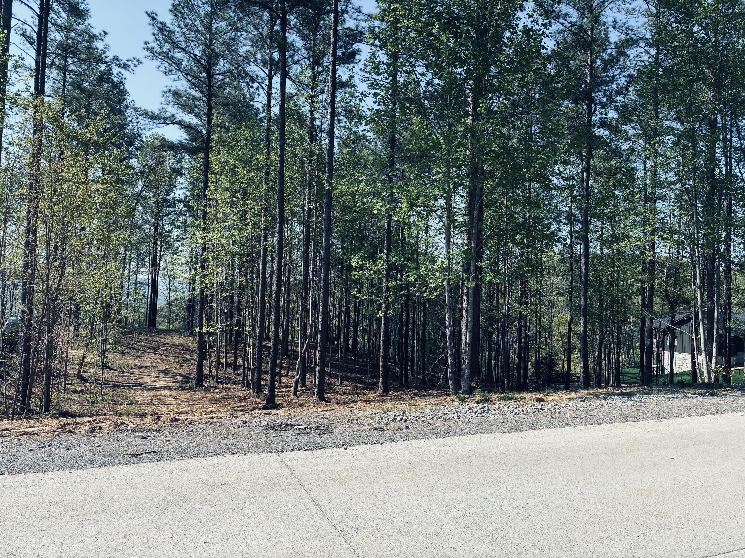 0 Birds Eye Way, Unit 1072 Guild, TN 37340 - Photo 10 of 15 IMG_5653