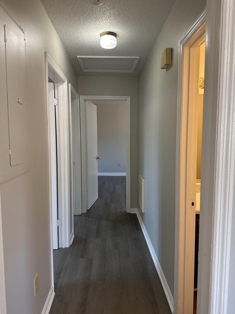 1702 Olive Street, Unit A Chattanooga, TN 37406 - Photo 12 of 19 2024_10_29_12_01_35