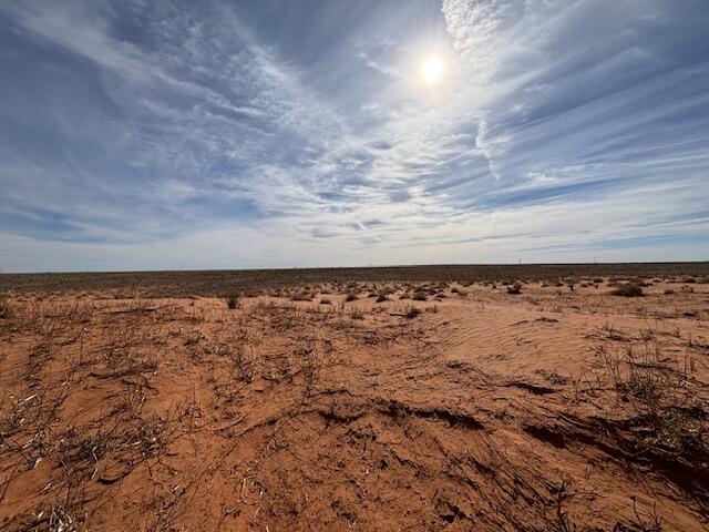 225 County Rd Plains Plains, TX 79355 - Photo 3 of 8