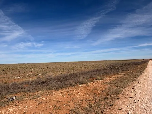 wooden view of city and mountain