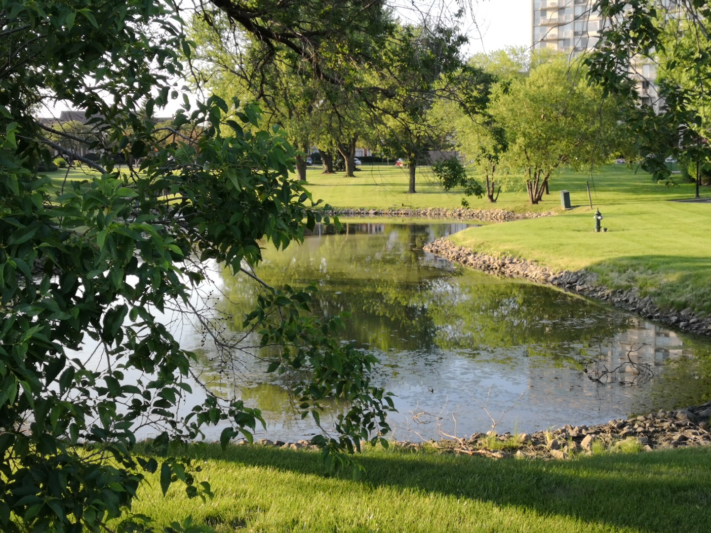 23 North Tower Road Oak Brook, IL 60523 - Photo 4 of 22 a view of a park with large trees
