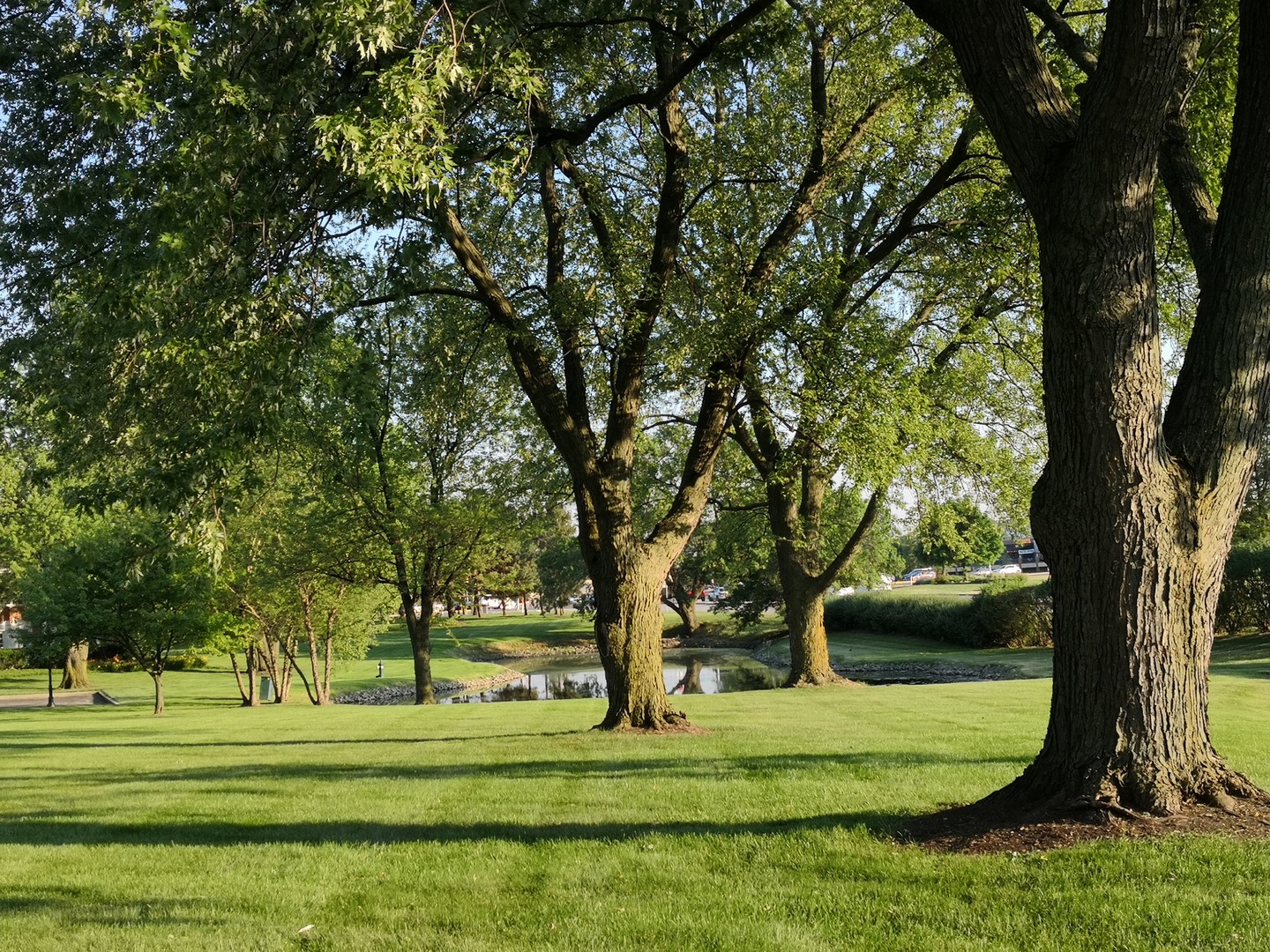 23 North Tower Road Oak Brook, IL 60523 - Photo 5 of 22 a view of a golf course