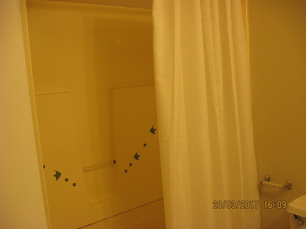 124 Tram Street Converse, SC 29329 - Photo 19 of 20 Gallery Image 19
