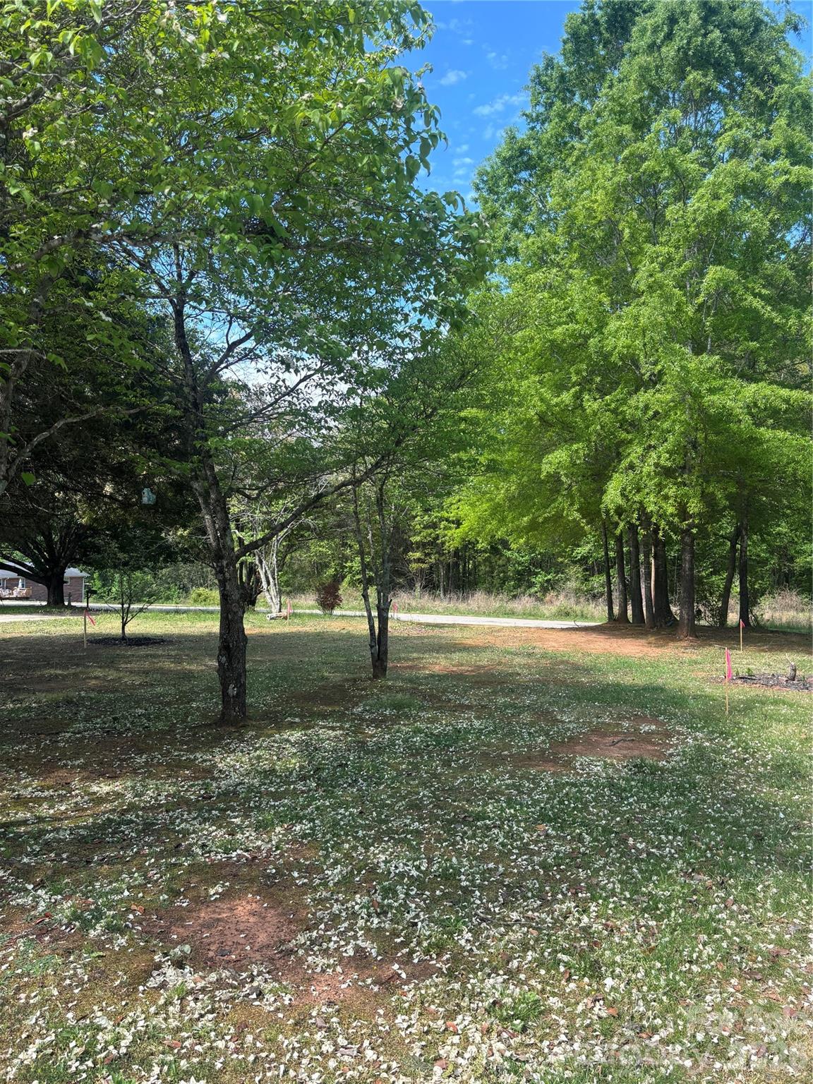 0 Richard Road Salisbury, NC 28147 - Photo 5 of 6