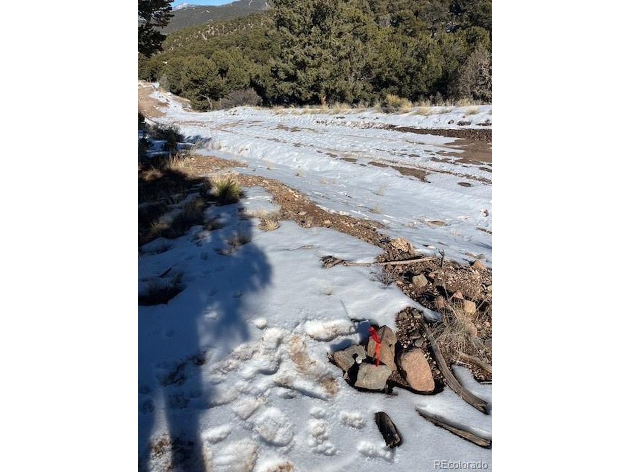 a view of a wooden floor