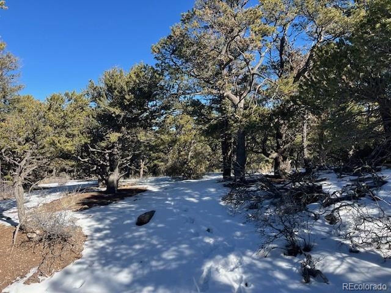 7898 Tiernan Road Fort Garland, CO 81133 - Photo 12 of 27 a view of outdoor space with trees