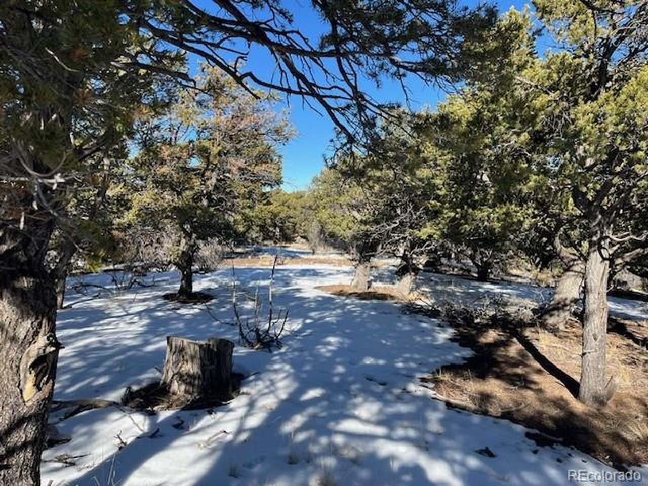 7898 Tiernan Road Fort Garland, CO 81133 - Photo 16 of 27 a view of yard