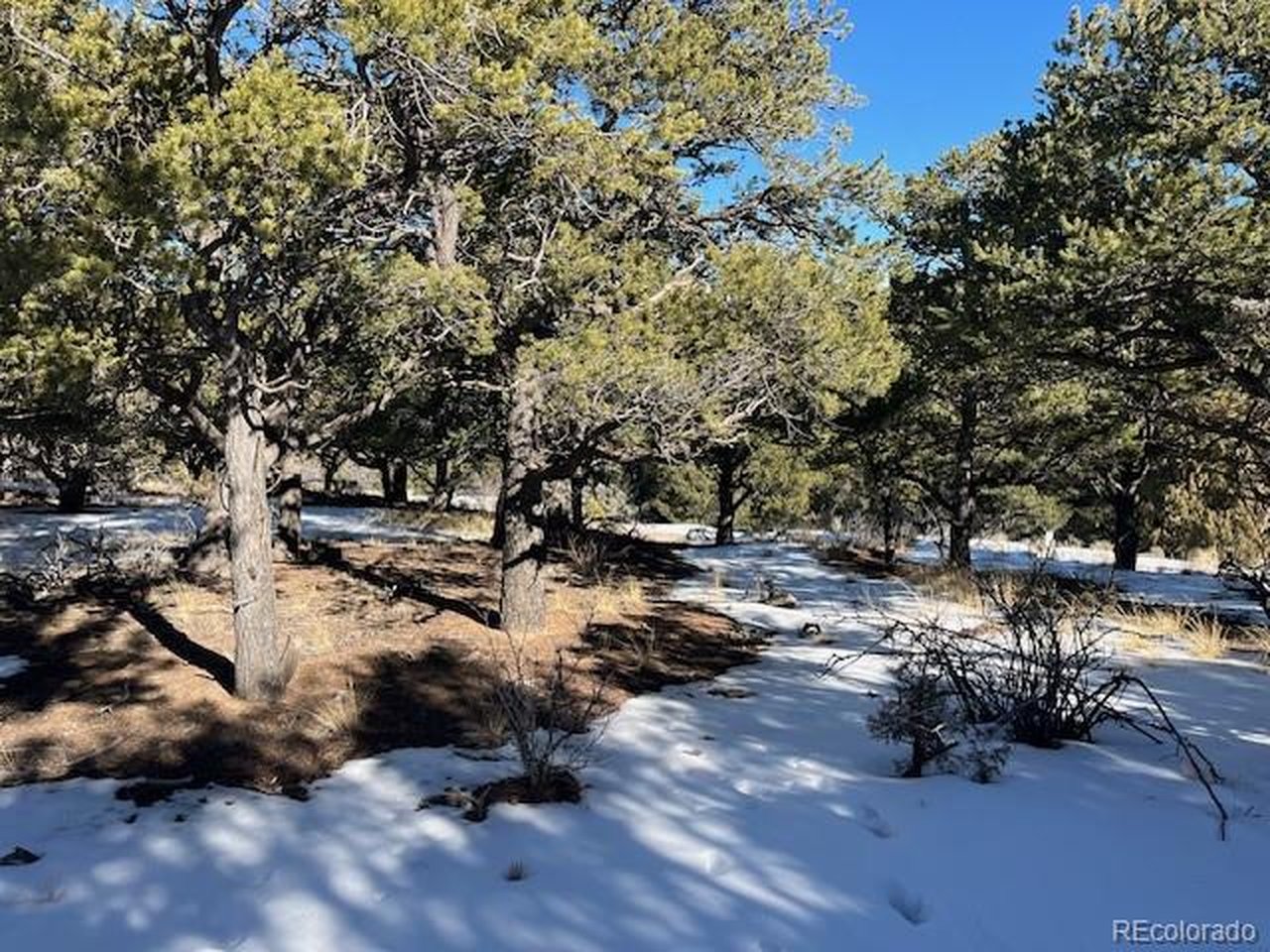 7898 Tiernan Road Fort Garland, CO 81133 - Photo 17 of 27 a backyard of a house with a yard and outdoor seating
