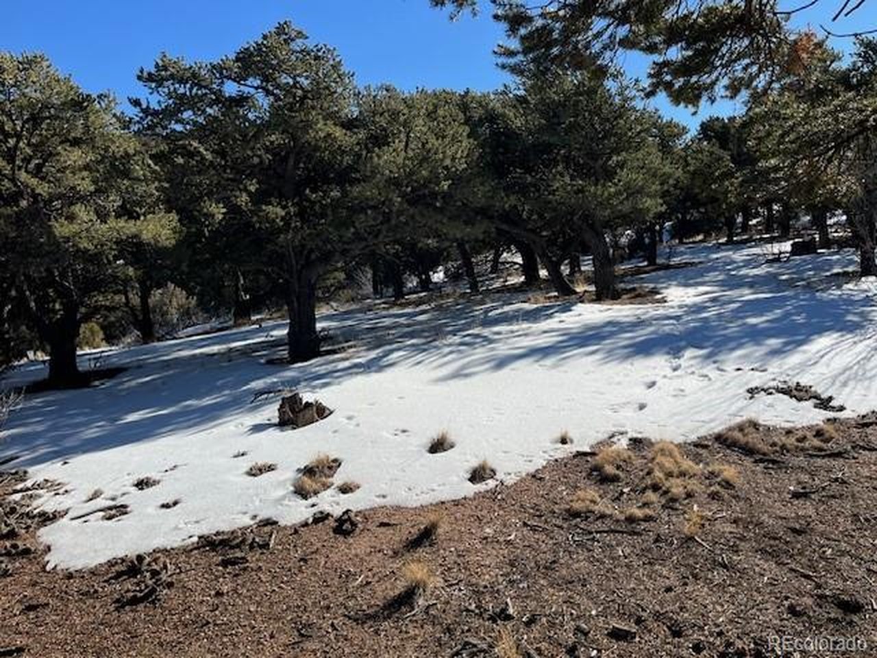 7898 Tiernan Road Fort Garland, CO 81133 - Photo 19 of 27 a view of a yard with snow on the road
