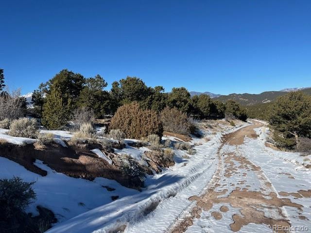 7898 Tiernan Road Fort Garland, CO 81133 - Photo 25 of 27 a view of a park with large trees