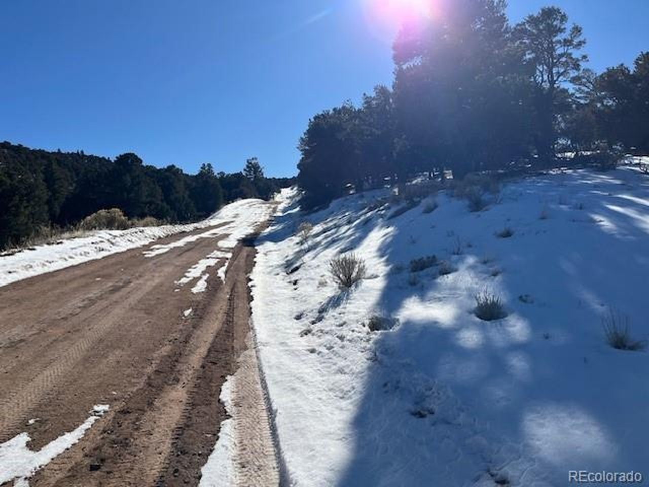 7898 Tiernan Road Fort Garland, CO 81133 - Photo 26 of 27 a view of a yard