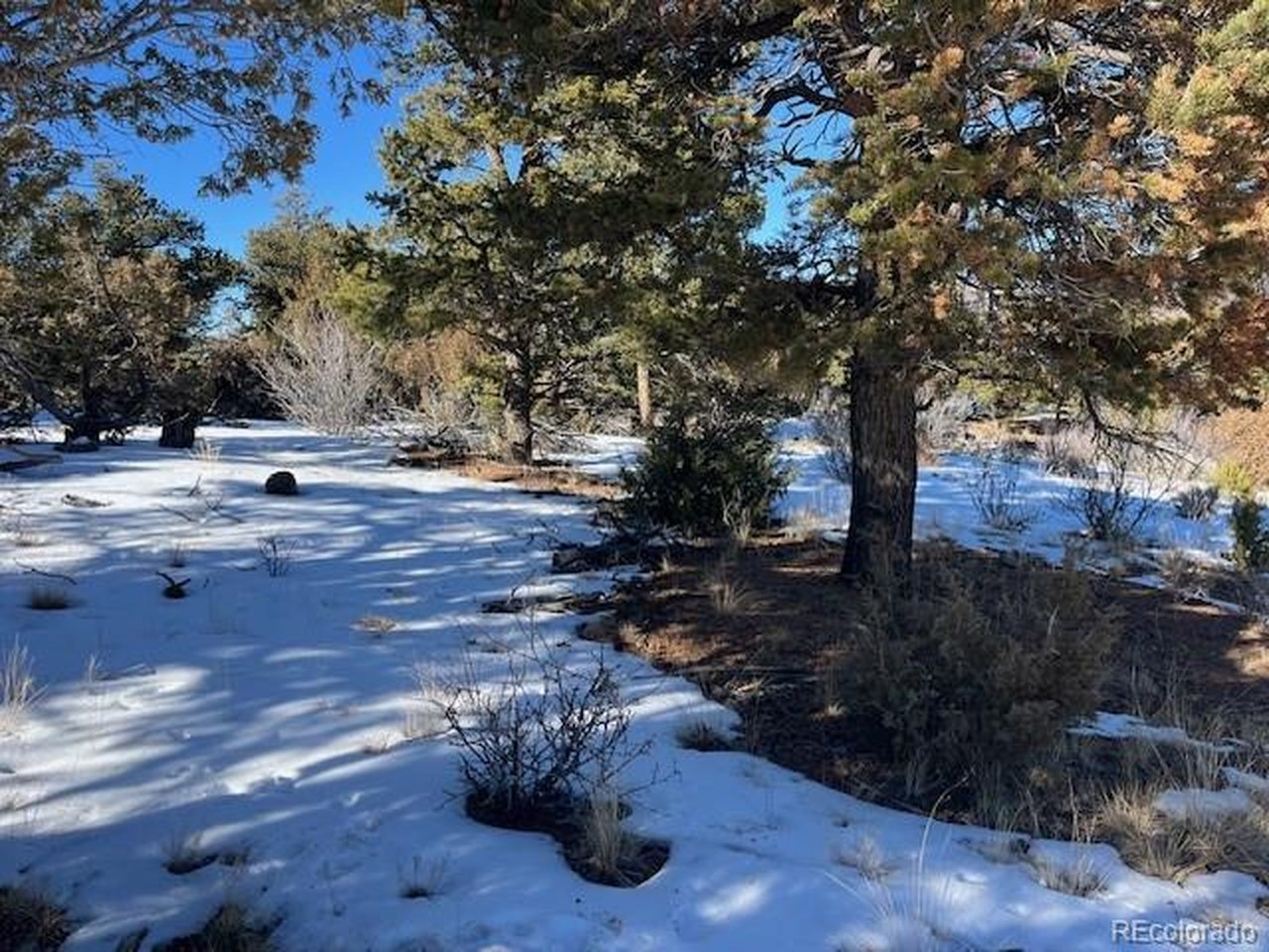 7898 Tiernan Road Fort Garland, CO 81133 - Photo 3 of 27 a view of yard