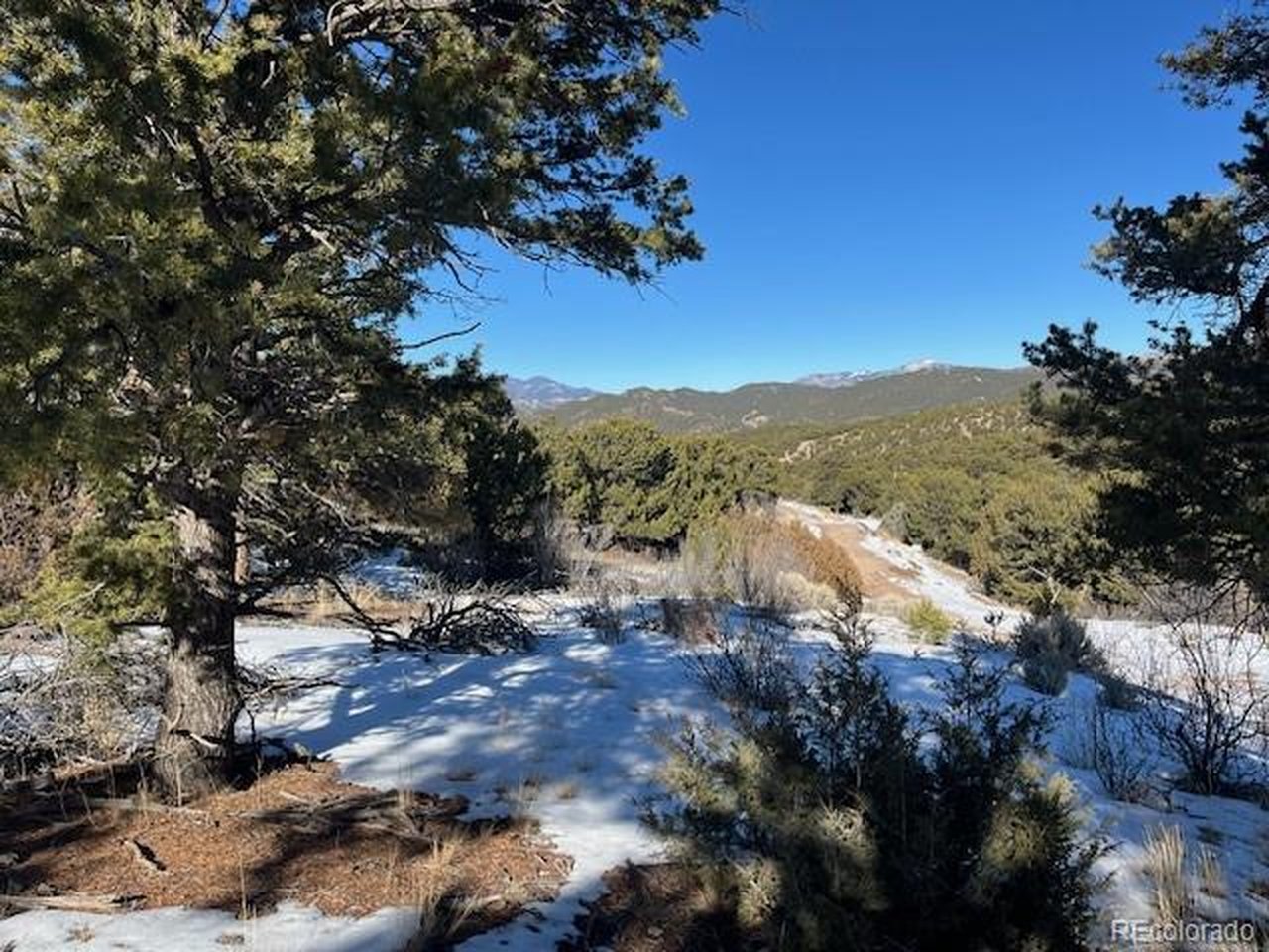 7898 Tiernan Road Fort Garland, CO 81133 - Photo 5 of 27 a view of mountain view with lots of trees