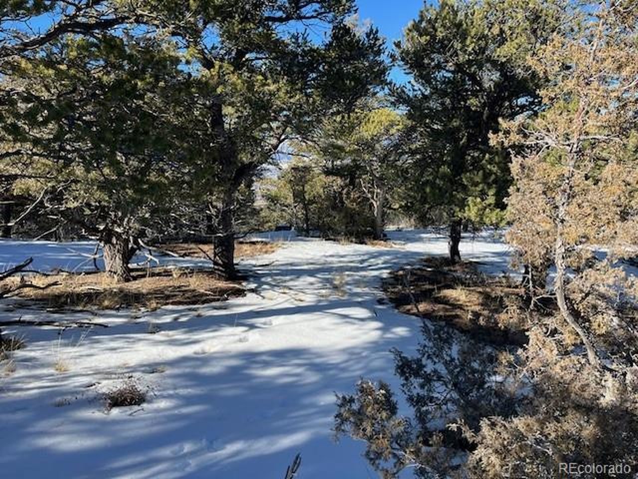 7898 Tiernan Road Fort Garland, CO 81133 - Photo 7 of 27