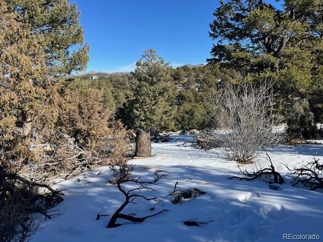 7898 Tiernan Road Fort Garland, CO 81133 - Photo 8 of 27 a view of backyard space