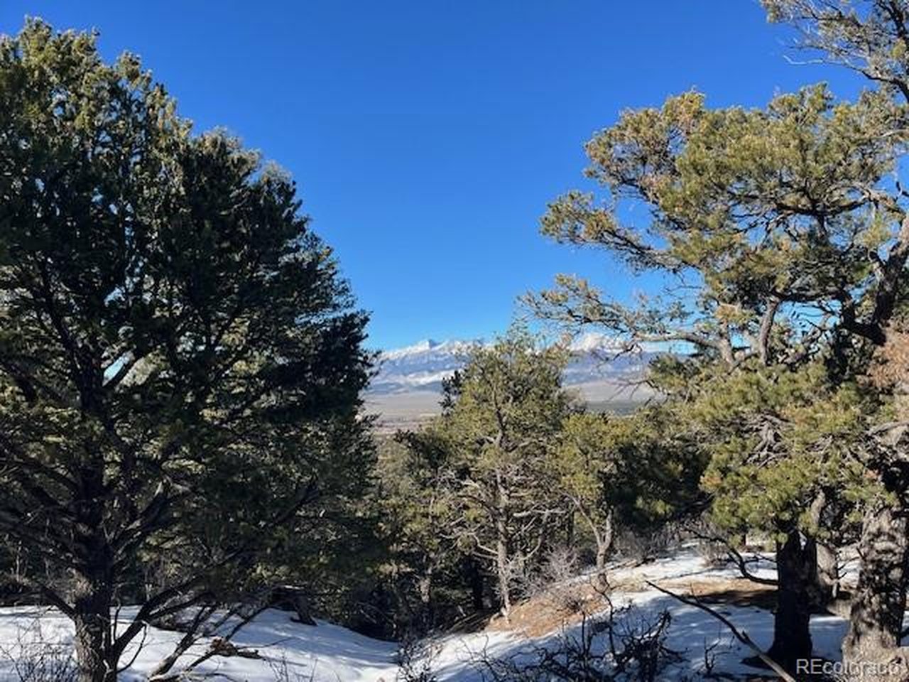 7898 Tiernan Road Fort Garland, CO 81133 - Photo 10 of 27 a view of a tree