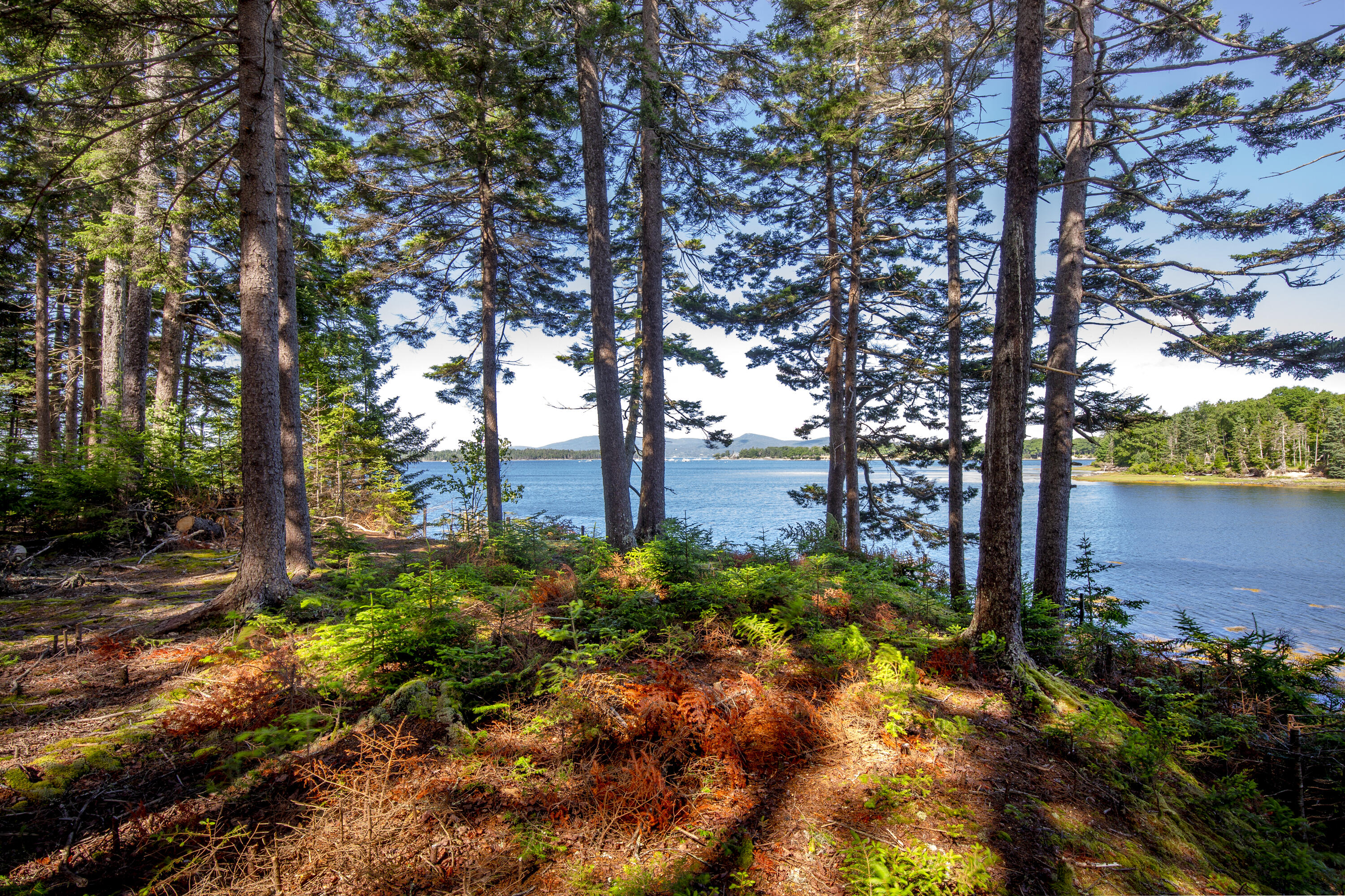 M15-l20-tbd Golf Club Road Islesboro, ME 04848 - Photo 24 of 41