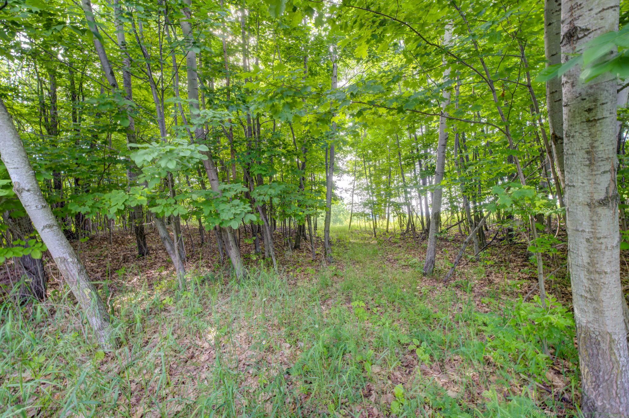 Lot 9 West Harbour Ridge Drive Maple City, MI 49664 - Photo 14 of 24 1947403-ceef632b-7505-4be5-84d0-a40ae8c8a983.JPG