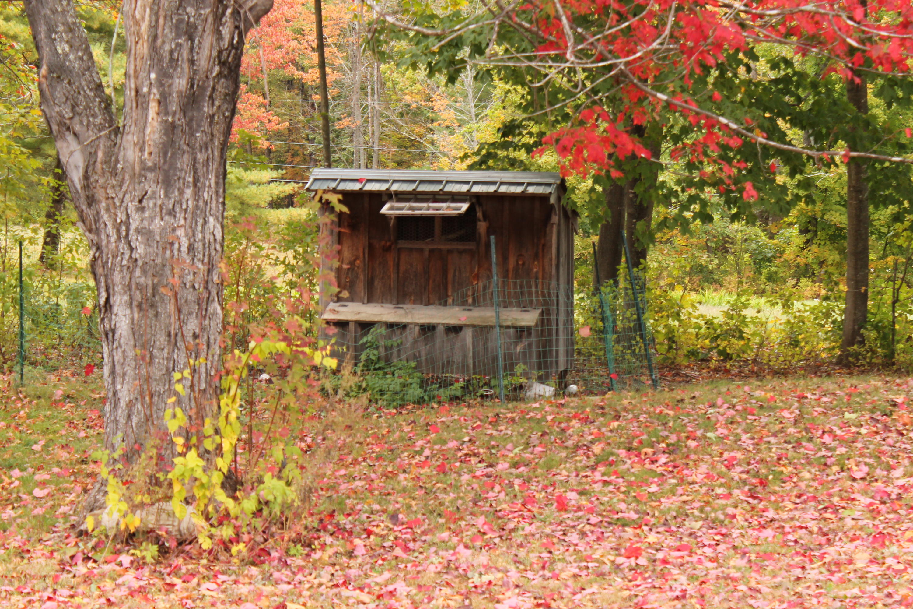 12 Libby Road West Newfield, ME 04095 - Photo 28 of 30 2019-10-06 10.54.13