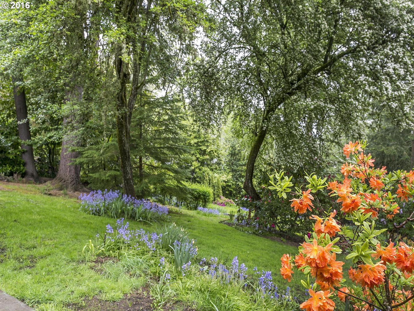 7610 Southwest Miner Way Portland, OR 97225 - Photo 23 of 32 a view of a garden with plants