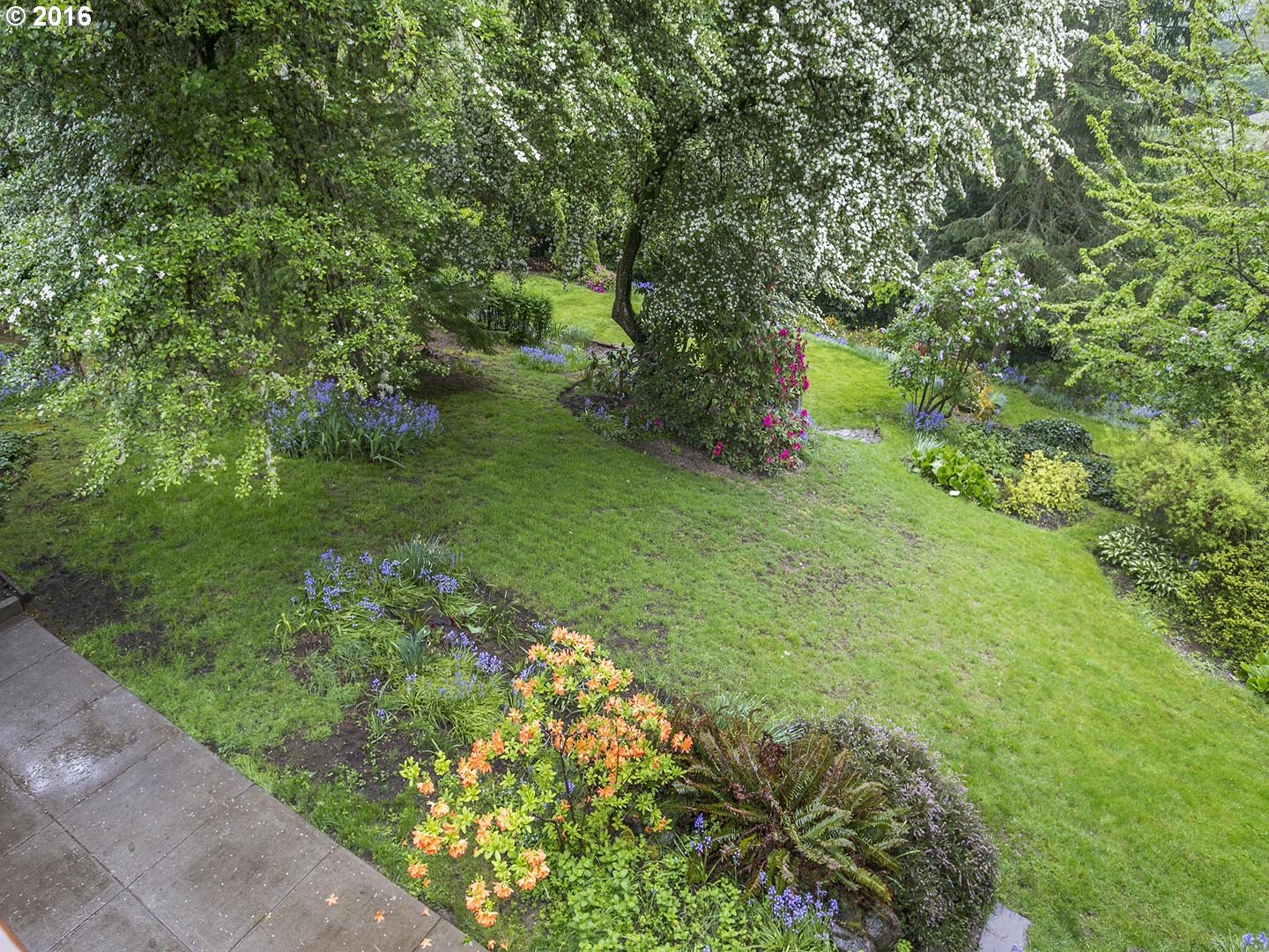 7610 Southwest Miner Way Portland, OR 97225 - Photo 24 of 32 a lush green forest with lots of trees