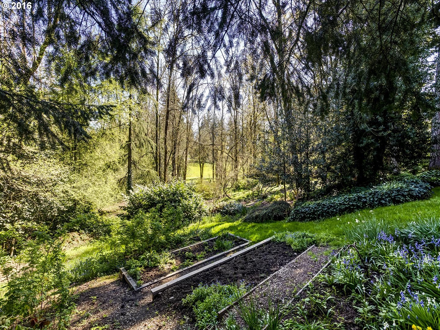 7610 Southwest Miner Way Portland, OR 97225 - Photo 26 of 32 a view of a garden with plants and large trees