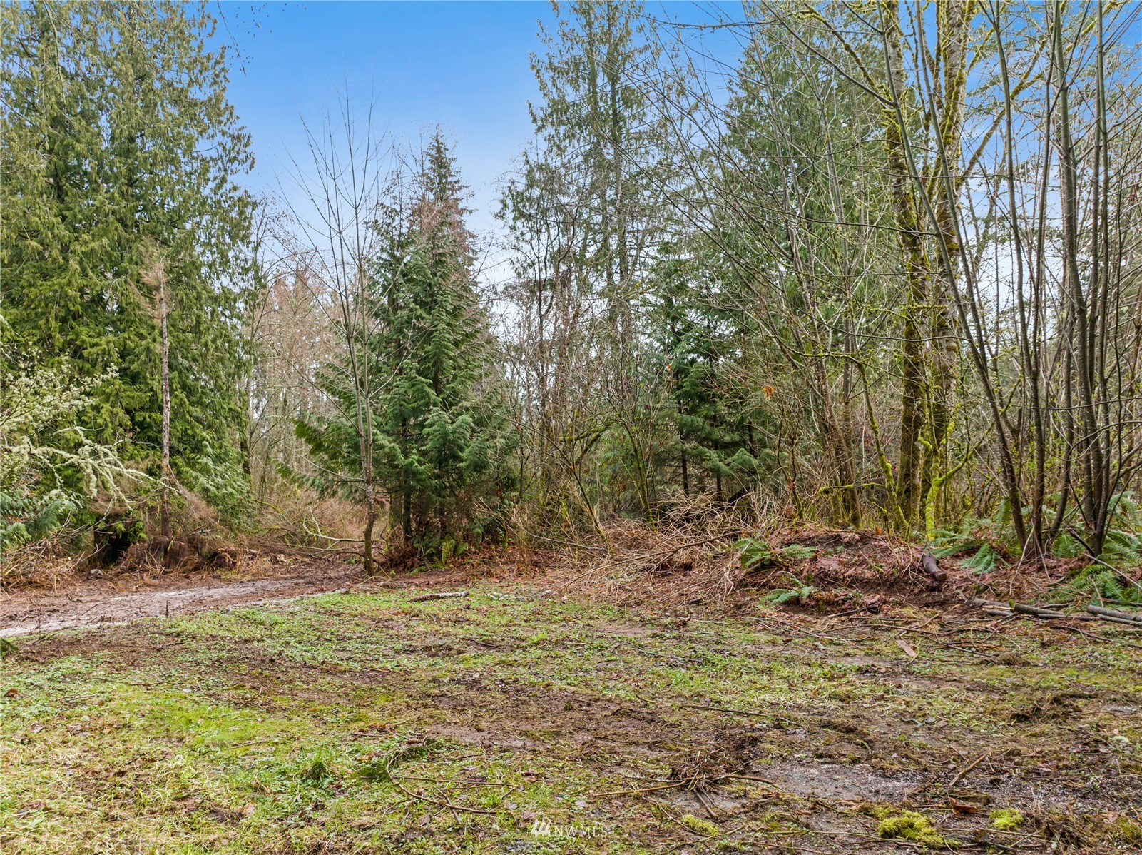 1794 Barrell Springs Road Bow, WA 98232 - Photo 18 of 18 Gallery Image 18