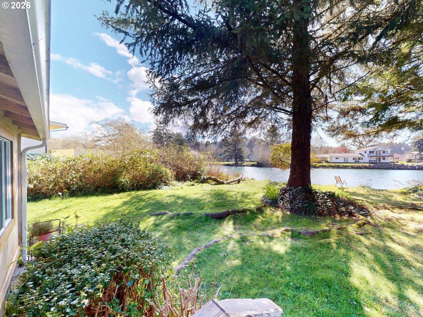 a view of a garden with a tree