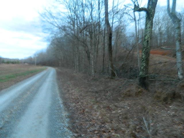 0 Woolworth Road Waverly, TN 37185 - Photo 3 of 3 Property's road frontage.