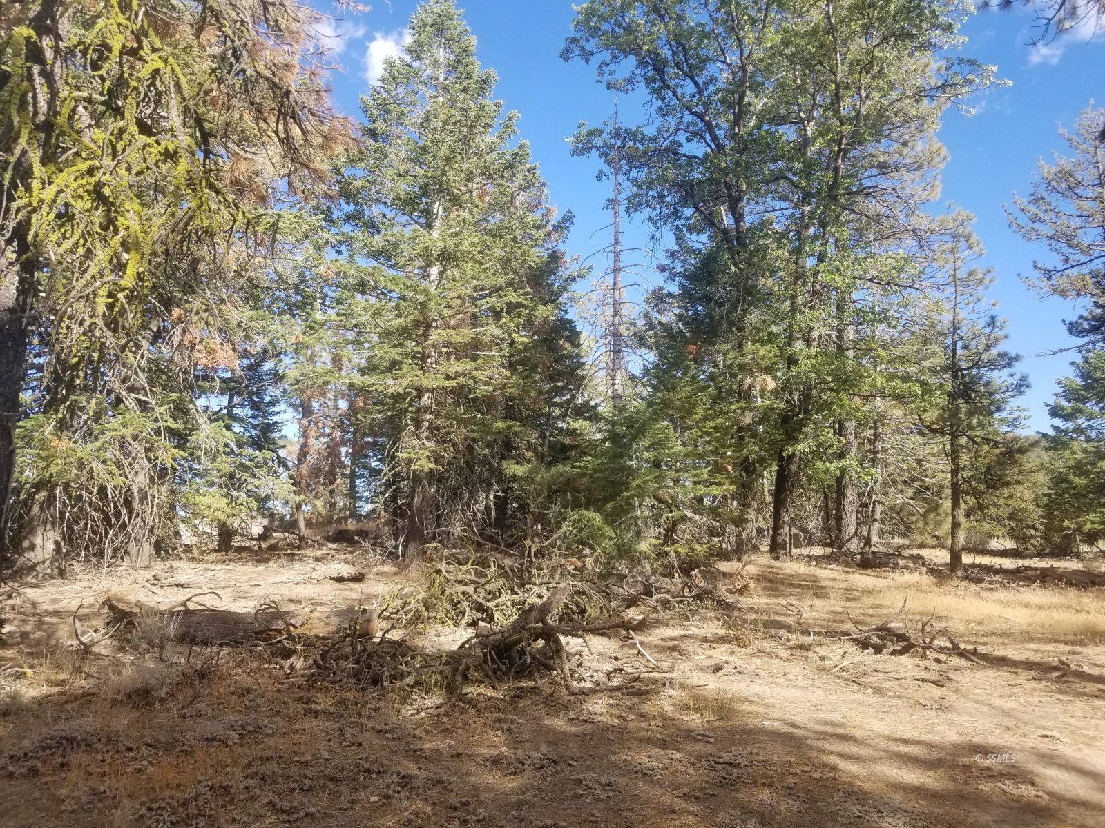 Piute Pines Caliente, CA 93518 - Photo 20 of 26